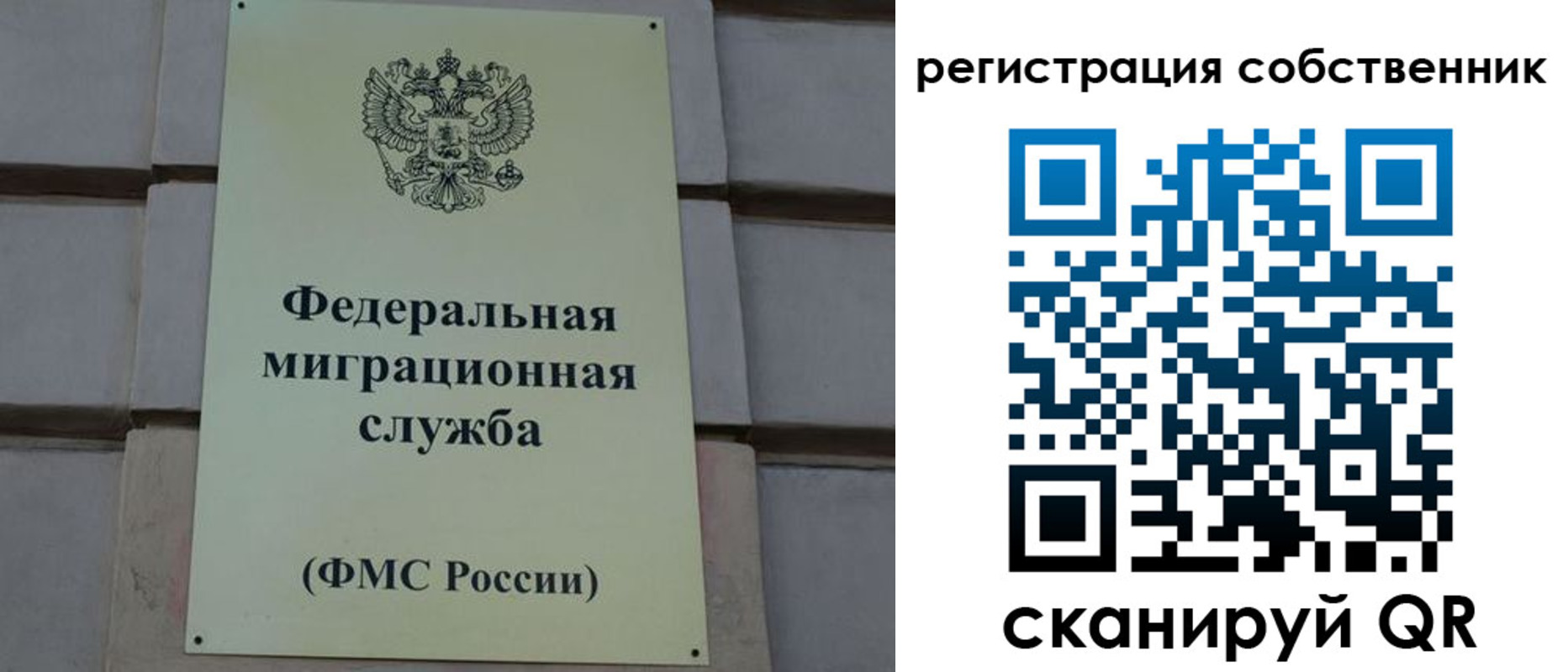 прописка гарантия в Черногорске